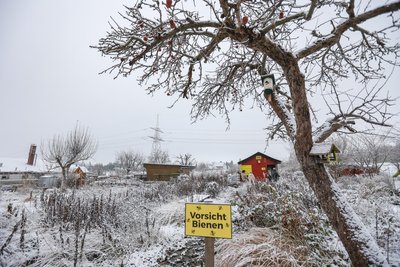 Ein Farbtupfer im Schnee: Das Bienenhaus im Naturgarten.