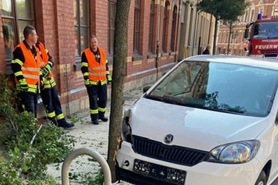 Die Einsatzkräfte mussten nach einem Unfall Betriebsmittel binden und Baumreste entfernen. 
