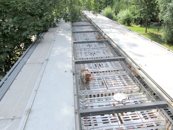 Zu wenig Platz in den einzelnen Boxen hatten Hühner in diesem Transport.
