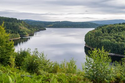 Eine der Besonderheiten des Forstbezirks Eibenstock ist, dass sich hier drei große Talsperren befinden, die in Carlsfeld, in Sosa und Eibenstock. Die Talsperre Eibenstock (im Bild) ist die größte Trinkwassertalsperre in Sachsen.