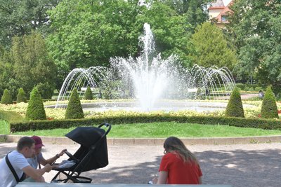Auf den ersten Blick scheint der Albertpark in Freiberg kein gefährlicher Ort. Doch registriert das Ordnungsamt hier eine Vielzahl von Verstößen.