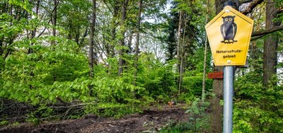 Das Zschopautal ist teils Naturschutzgebiet nach EU-Recht, teils Landschaftsschutzgebiet. Fällarbeiten sorgen für Unmut. 