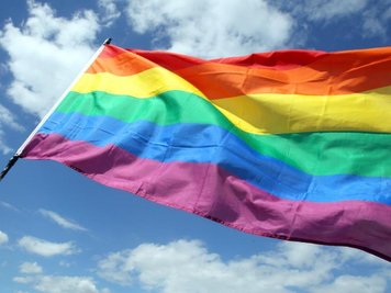  
          Eine Regenbogenfahne weht im Wind.