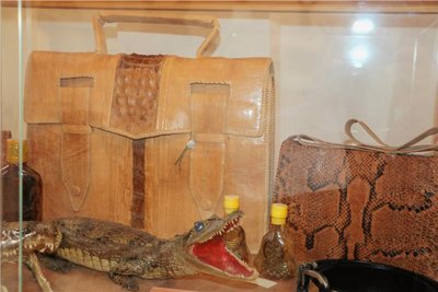 Verbotenes, weil beispielsweise aus Krokodilleder, beschlagnahmt vom Hauptzollamt Dresden, ist Teil der Ausstellung im Schloss Leubnitz.