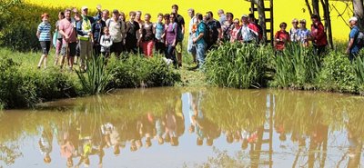 Rückblick 2019: Damals fand die 28. und bislang letzte "Freie Presse"-Wanderung statt. Start und Ziel war der Sportplatz Großfriesen. Bei schönem Wetter ging es durch die Natur. Nach der langen Coronapause freuen sich viele Wanderer, nun wieder auf Tour gehen zu können. 