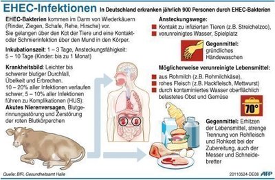 Der EHEC-Erreger kann blutigen Durchfall und bei schweren Verläufen das sogenannte hämolytisch-urämische Syndrom (HUS) verursachsen. Bei HUS kann es zu akutem Nierenversagen kommen.