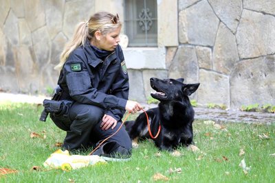 Schäferhund Frodo hatte die Spur der Vermissten aufnehmen können.