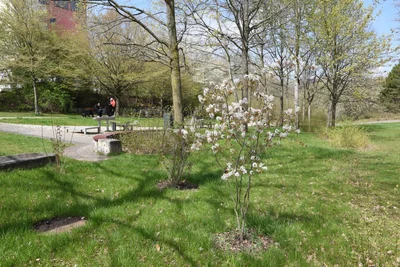 Ab Mai plätschert wieder Wasser im Park Morgenleithe.