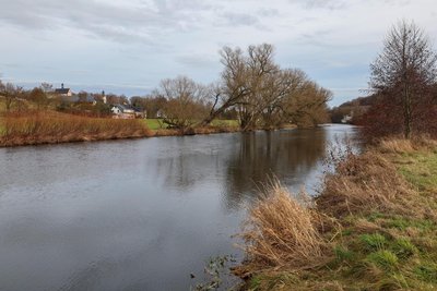 Cirka 500 Meter oberhalb des Wehrs an der Mulde in Remse war die Frau am 8 .Dezember entdeckt worden.