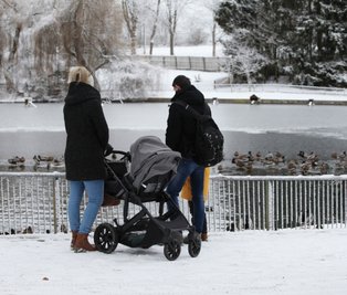 Am Teich im Eingangsbereich tummeln sich zahlreiche Wasservögel, wie verschiedene Enten- und Gänserassen.Familien freuen sich auch über den großen Spielplatz, auf dem die kleinen Besucher toben können.