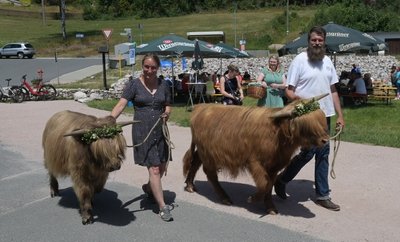 Zum Almauftrieb beim Bergwiesenfest in Stützengrün führten Stefanie König und Maik Werner die Hochlandrinder Uaallach und Uranus. 