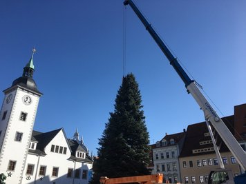 Ein Kran richtete den Baum auf.