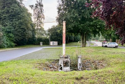 Einer der beiden auf zwei Meter gekürzten Schrankenbäume steht direkt am Eingang des Kurparks von Bad Schlema. Der andere befindet sich direkt gegenüber.