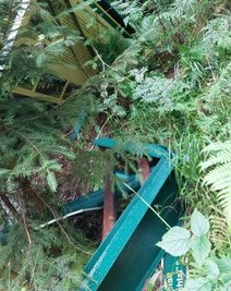 Auf die im Wald liegenden beschädigten Schilder und Tafeln am Naturlehrpfad Hüttenbachtal hatten Leser aufmerksam gemacht. 