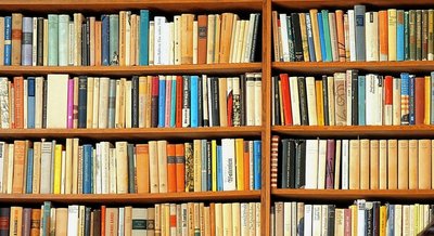 Bücher wie diese haben viele Ältere im Bücherschrank stehen, darunter auch Lexika. Meist sind sie Schmuck, aber keine Wertanlage. 