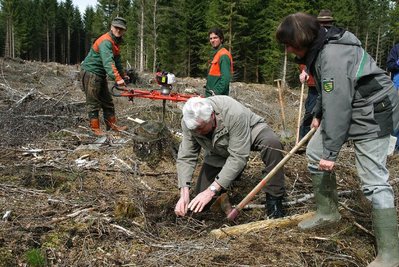 
              <p class="artikelinhalt">Ein Baum nach dem anderen kommt in den Waldboden. Symbolisch packte auch Schlettaus Bürgermeister Matthias Greifenhagen mit an. Revierleiterin Christiane Siewert sowie Rico Beyreuther (h. l.) und Marcus Franke vom Forstunternehmen Strietzel aus Aue standen ihm zur Seite. Weil der Stadtchef von Kindesbeinen an mit dem Wald verbunden ist, wurde für ihn an einem anderen Fleckchen extra eine eigene Bergulme gesetzt.</p>
            
