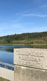 Die Talsperre Dröda liegt nur wenige Kilometer von der bayerischen Landesgrenze entfernt. Fließt aus dem größten Trinkwasserreservoir des Vogtlands bald Wasser nach Franken? 