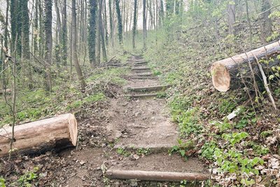 Der Weg am Schlosshang ist frei, aber weiterhin gesperrt.