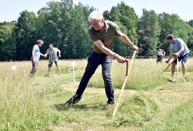 Zum Programm des Bergwiesentages gehörte auch ein Sensenmahdwettbewerb, bei dem Uwe Bernhard (im Foto) aus Bad Elster den 2. Platz belegte. 