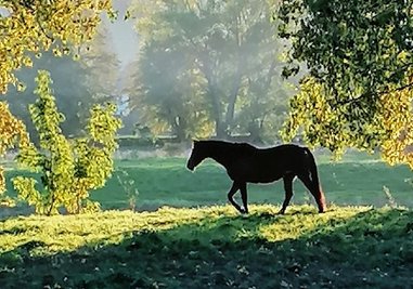 Das Motto des Fotowettbewerbs lautet "Steig ei, mir fahrn ...". 