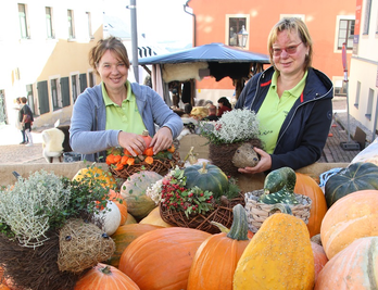 Kürbisse laden beim Naturmarkt zum Kauf ein. 