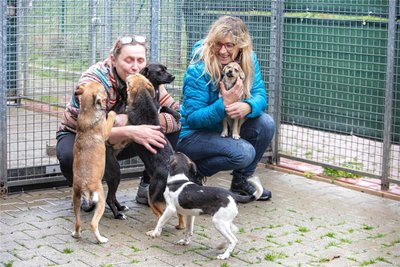 Kandelhof-Leiterin Eva Hoyer (links) und Vorständin Kerstin Gotte in der Außenanlage der Einrichtung, die 47 Hunde und 180 Katzen beherbergt.