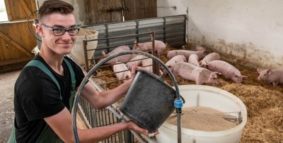 Die Genießergenossenschaft Sachsen plant einen Außenklimastall für mehr als 1700 Schweine in Königshain.