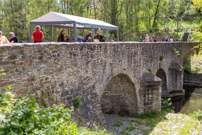 Organisiert wurde das Brückenfest von den Feuerwehren Conradsdorf, Tuttendorf und Falkenberg. Es findet seit 1996 immer zu Himmelfahrt statt.