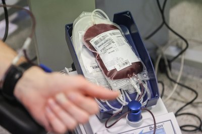 Der DRK-Blutspendedienst führt regelmäßig Sonderaktionen zu Weihnachten in Chemnitz durch.