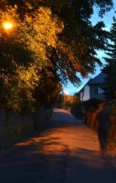 Lunzenauer Goethestraße