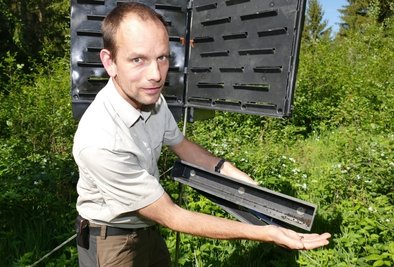 Revierleiter Stefan Naumann steht an einer der Fallen für das sogenannte Borkenkäfer-Monitoring, wie sie auch im Freiberger Stadtwald stehen. Pro Woche wurden hier zuletzt 5000 Käfer pro Falle gezählt. 