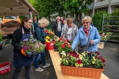 Am Mittwoch wurden im Mittweidaer Neubaugebiet Blumenkästen für die Balkone bestückt.