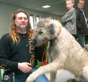 
              <p class="artikelinhalt">Jens Hartlich aus Struppen war mit seinem Irish-Wolfshound Dancer dabei. Er war der einzige Vertreter dieser Rasse in Reinsberg.</p>
            