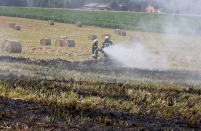 Präventiv wurde das Feld gewässert, um ein weiteres Ausbreiten der Flammen zu verhindern. 