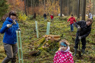 Unweit der Talsperre Werda haben am Samstag Norman Kreß sowie Katrin und Mirjam Ulemann aus Altenburg zusammen mit mehr als 20 Geocachern Weißtannen und Bergahorn gepflanzt. 
