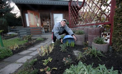 Garten