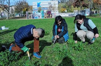 Auf der Blühwiese am Konkordiapark haben Schüler und weitere Helfer die ersten von über 3000 Frühblühern gepflanzt. 