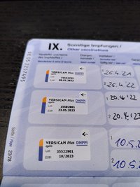 In der Impfbescheinigung steht das "P" in den Kürzeln DHPPi für das Parvovirosevirus.