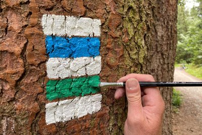 Die Wegewarte nahmen eine neue grüne Route von Mulda über Erbgerichtsweg und Enoldshöhe nach Blockhausen in Angriff.