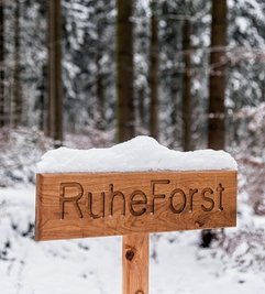 Für den Ruheforst ist zunächst ein Hektar aktiviert. 