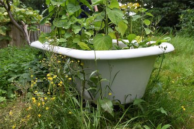 Diese Badewanne war einst Teil des Hauses. Nun steht sie draußen und ist Teil des Gartens.