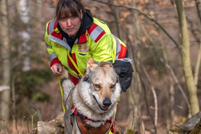 Stefanie Papendiek ist beim ASB Zwickau Hundeführerin bei der Rettungshundestaffel. Mit ihrem Flächenspürhund sucht sie Vermisste im Wald.