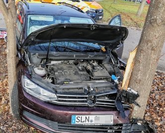 Das Fahrzeug wurde im Meeraner Gewerbegebiet von zwei Bäumen gestoppt. 