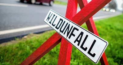 Das Symbolfoto zeigt ein Dreibein am Straßenrand. Es weist auf einen Wildunfall hin. 