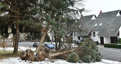 So sah es an der Straße der Einheit nach dem Sturm Friederike aus.