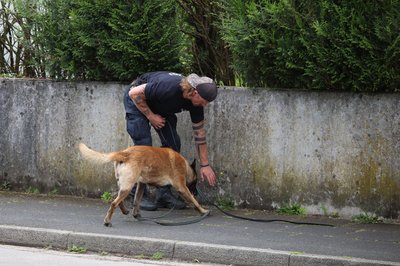 Ein Polizist sucht mit einem Spürhund nach Hinweisen.