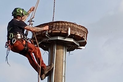 Michael Langer hatte bei der Installation der Nisthilfe alle Hände voll zu tun.