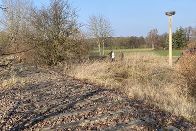 Blick vom alten Bahndamm rüber zur neuen Storchen-Nisthilfe. Über den Damm ratterte einst die Greizer Muckel, der Zug verkehrte zwischen Neumark und Greiz.