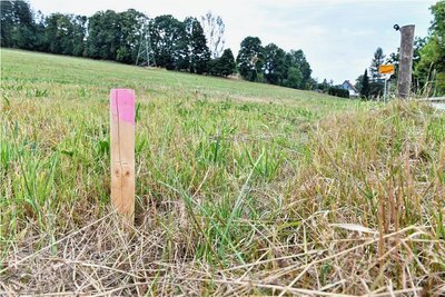 Auf dieser Wiese am Ortsausgang von Mulda in Richtung Helbigsdorf ist ein Einkaufsmarkt geplant. 