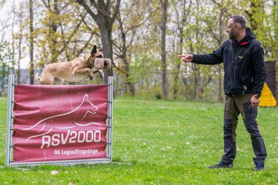 David Bauerfeind tritt mit seinem Hund Blue bei der Deutschen Meisterschaft an.